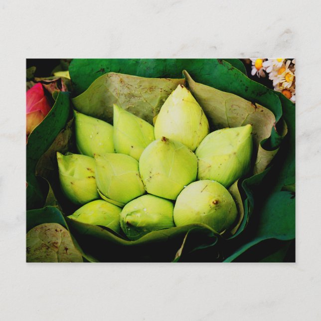 Postal Loto budos (Anverso)