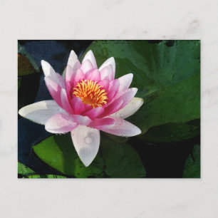 Postal Lotus2