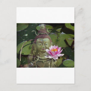 Postal Lotus 1 y Buddha