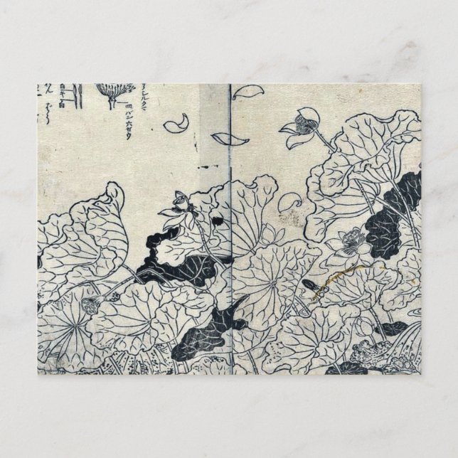 Postal Lotus in the wind de Tachibana, Yasukuni (Anverso)