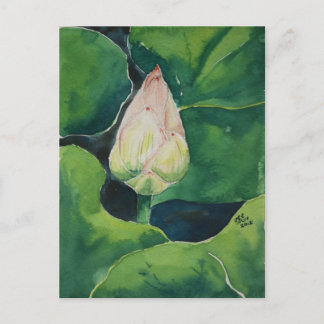 Postal Lotus Postcard