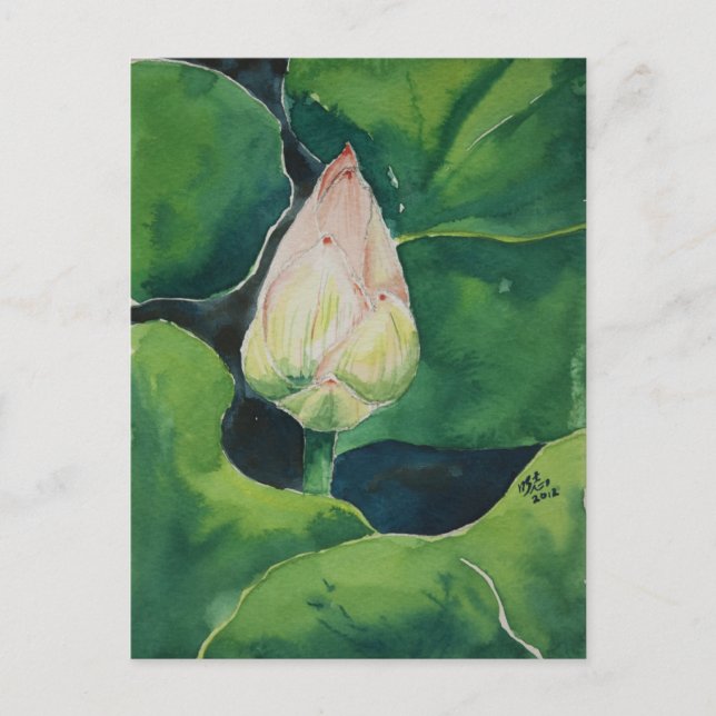 Postal Lotus Postcard (Anverso)
