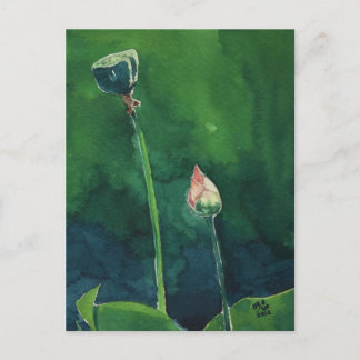 Postal Lotus Postcard