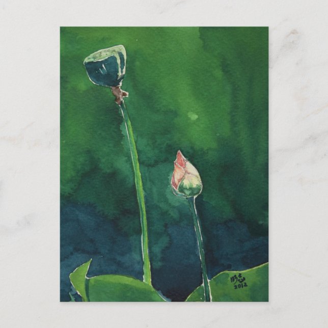 Postal Lotus Postcard (Anverso)