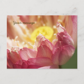 Postal Lotus Postcard