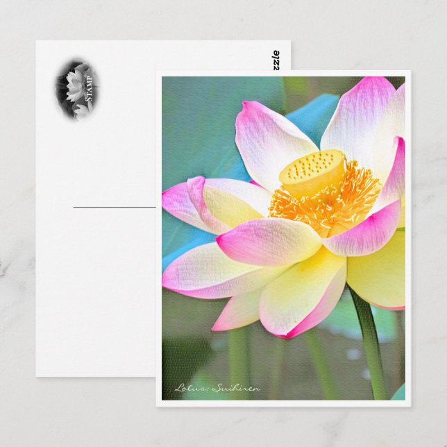 Postal Lotus "Suihiren" (Anverso / Reverso)