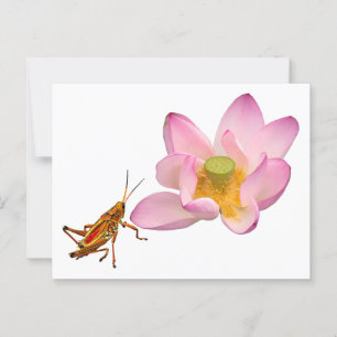 Postal Lotus y Grasshopper