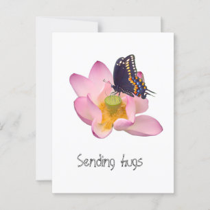 Postal Lotus y mariposa