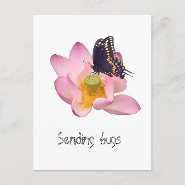 Postal Lotus y mariposa (Anverso)