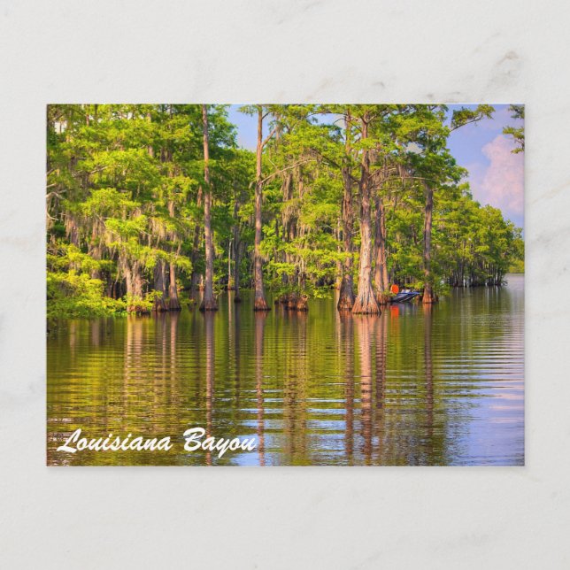Postal Louisiana Bayou (Anverso)