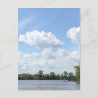 Postal Louisiana Bayou