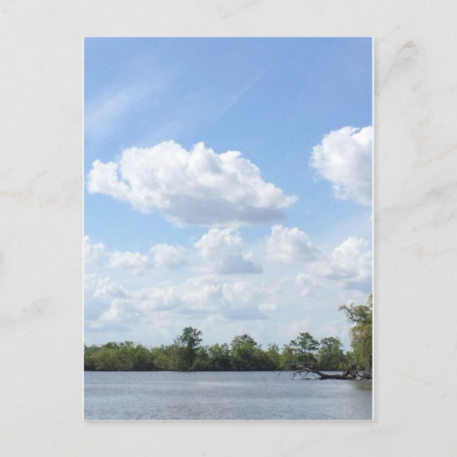 Postal Louisiana Bayou (Anverso)