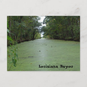 Postal Louisiana Bayou
