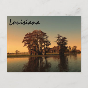Postal Louisiana bayou