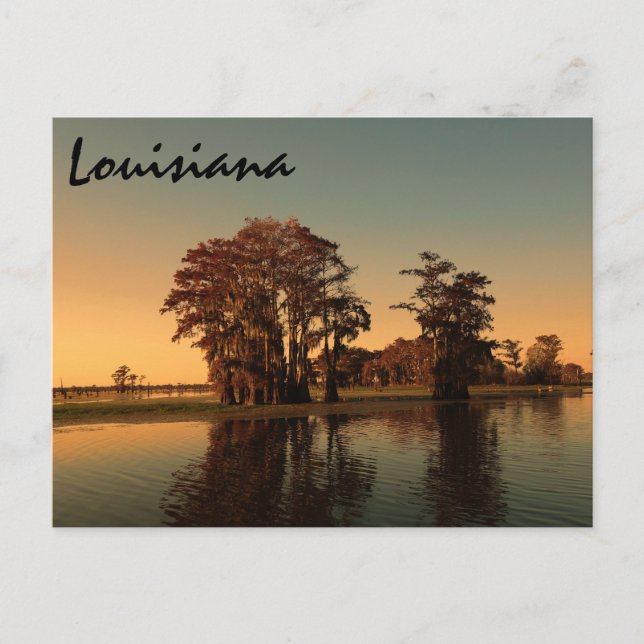 Postal Louisiana bayou (Anverso)