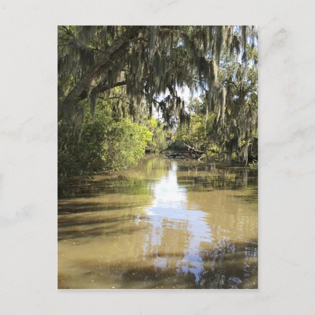 Postal Louisiana Bayou (Anverso)