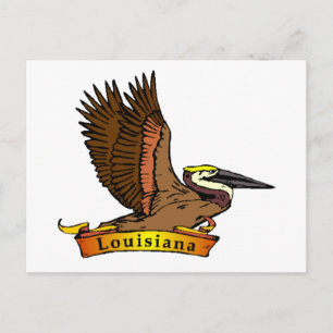 Postal Louisiana Brown Pelican