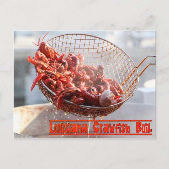 Postal Louisiana Crawfish hierba (Anverso)