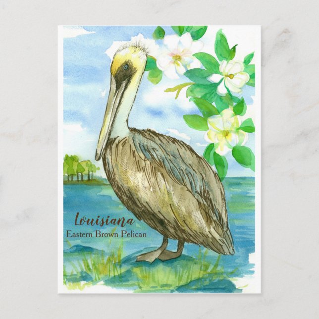 Postal Louisiana Eastern Brown Pelican State Bird (Anverso)