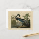 Postal Louisiana Heron - de los pájaros de Estados Unidos (Anverso/Reverso In Situ)