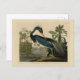 Postal Louisiana Heron - de los pájaros de Estados Unidos (Anverso / Reverso)