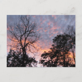 Postal Louisiana Sunset