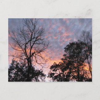 Postal Louisiana Sunset