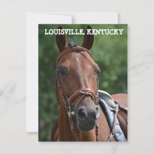 postal LOUISVILLE KENTUCKY RACE