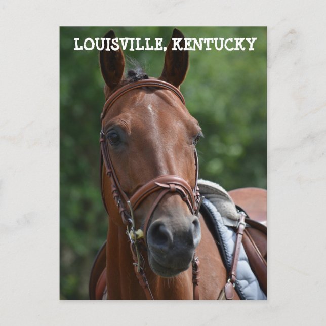 postal LOUISVILLE KENTUCKY RACE (Anverso)