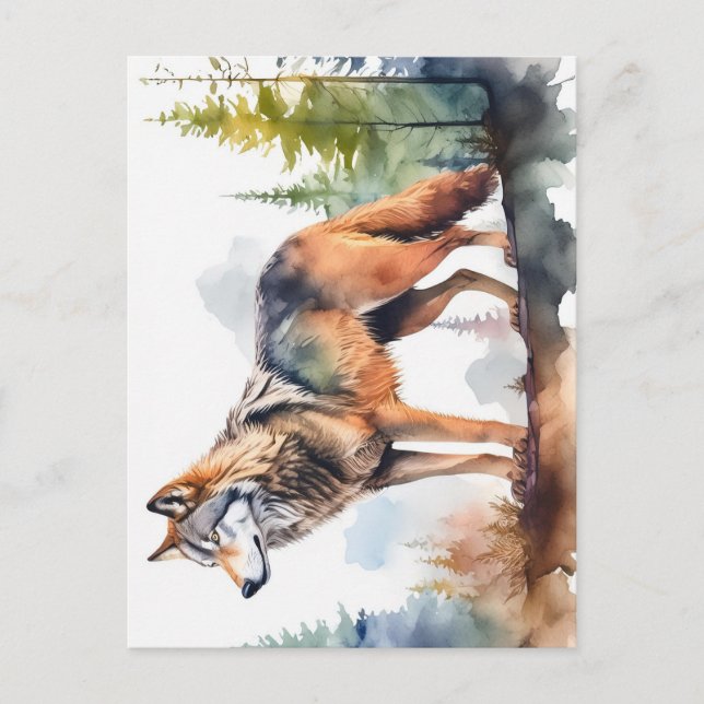 Postal Loup en forêt à l'aquarelle (Anverso)