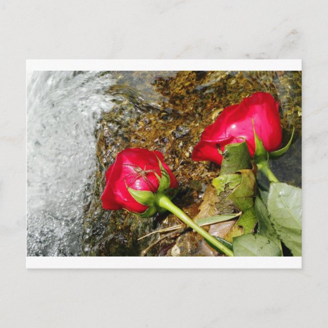 Postal Love Bites (Anverso)