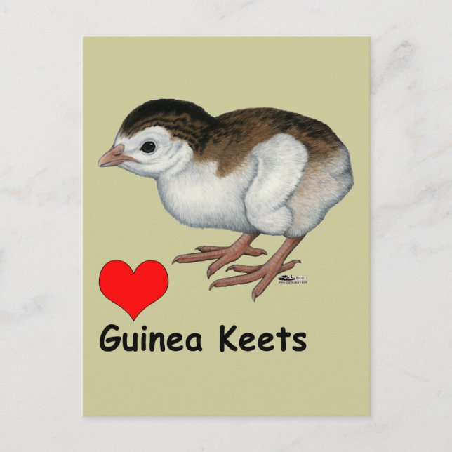 Postal Love Guinea Keets (Anverso)