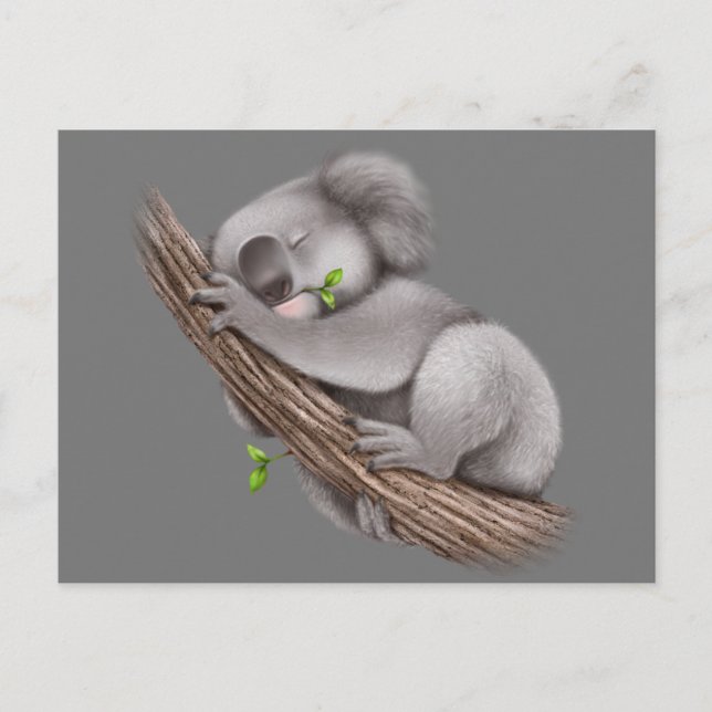 Postal Love Koala Bears Postcard (Anverso)