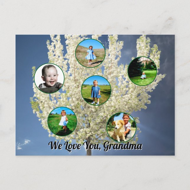 Postal Love You Grandma White Blossoming Tree Six Photos  (Anverso)