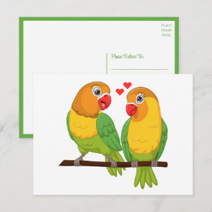 Postal LovebirdsVerdes Amarillos Pájaros del Amor Boda