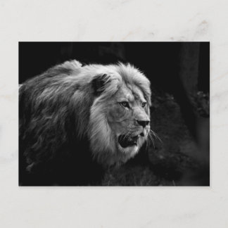 Postal löwe