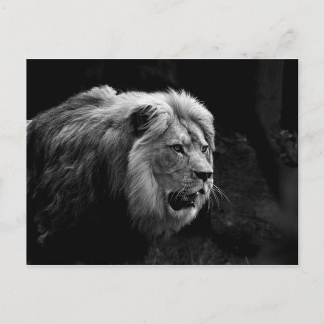 Postal löwe (Anverso)