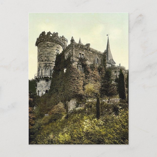 Postal Lowenburg, Wilhelmshohe, Cassel (es decir, Kassel) (Anverso)