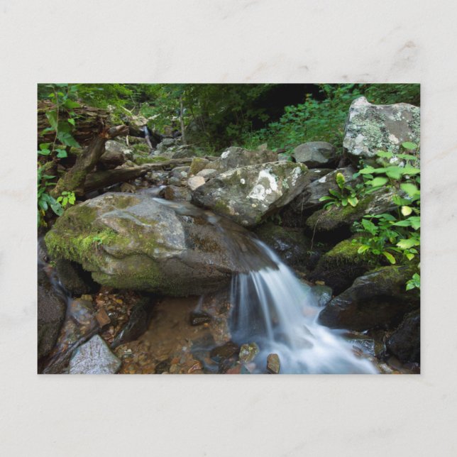 Postal Lower Dark Hollow Falls, Shenandoah (Anverso)