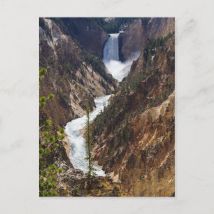 Postal Lower Falls Yellowstone
