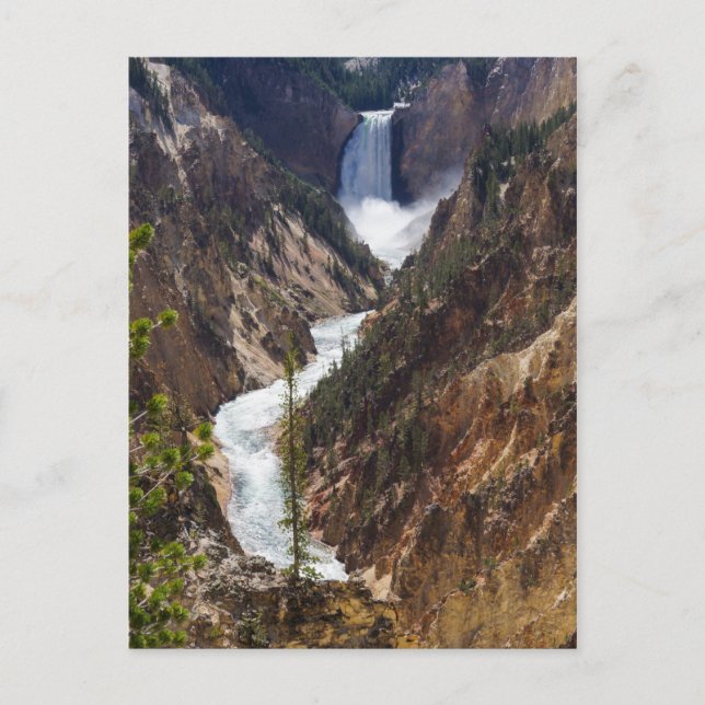 Postal Lower Falls Yellowstone (Anverso)