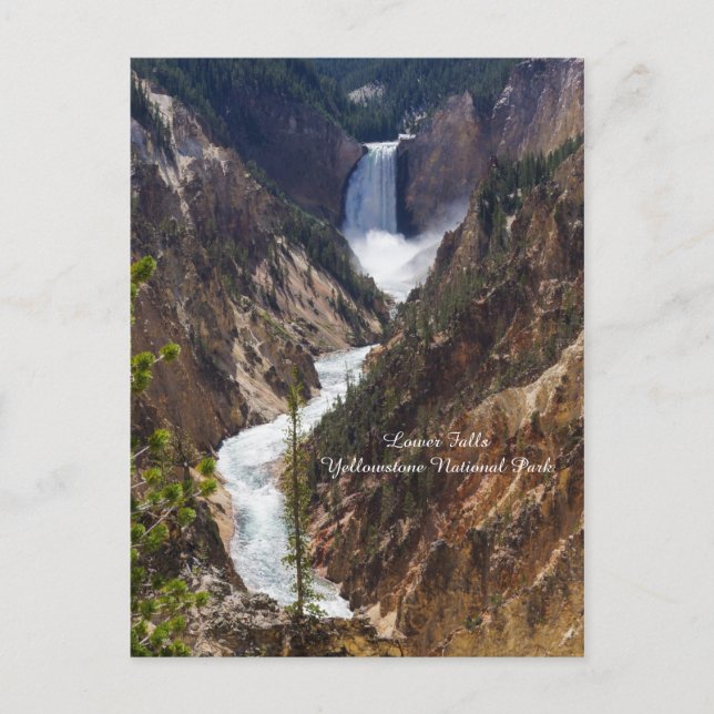 Postal Lower Falls Yellowstone (Anverso)
