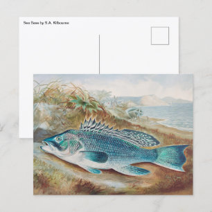 Postal Lubina por S.A. Kilbourne, Pescado Antiguo