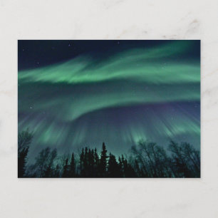 Postal Luces boreales de Alaska, ZTD