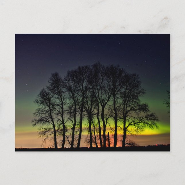 Postal Luces boreales | Manitoba Canada Grande Pointe (Anverso)