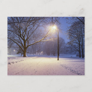 Postal Luces de calle cubiertas de árboles de nieve