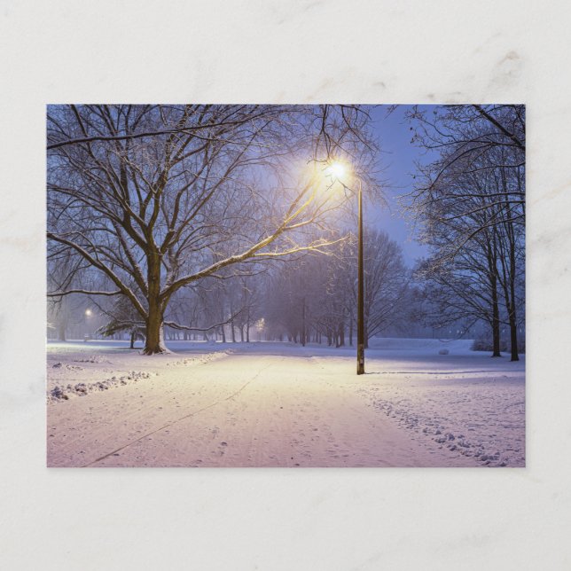 Postal Luces de calle cubiertas de árboles de nieve (Anverso)