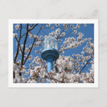 Luces de la calle de Tokio: Den'en Chofu