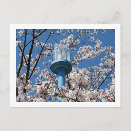 Postal Luces de la calle de Tokio: Den'en Chofu