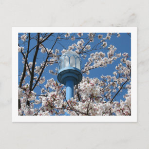 Postal Luces de la calle de Tokio: Den'en Chofu